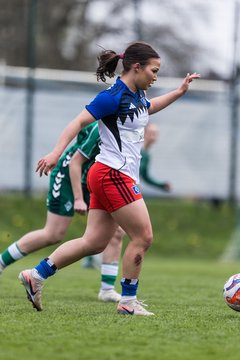 Bild 126 - wBJ Hamburger SV - SV Werder Bremen : Ergebnis: 2:2